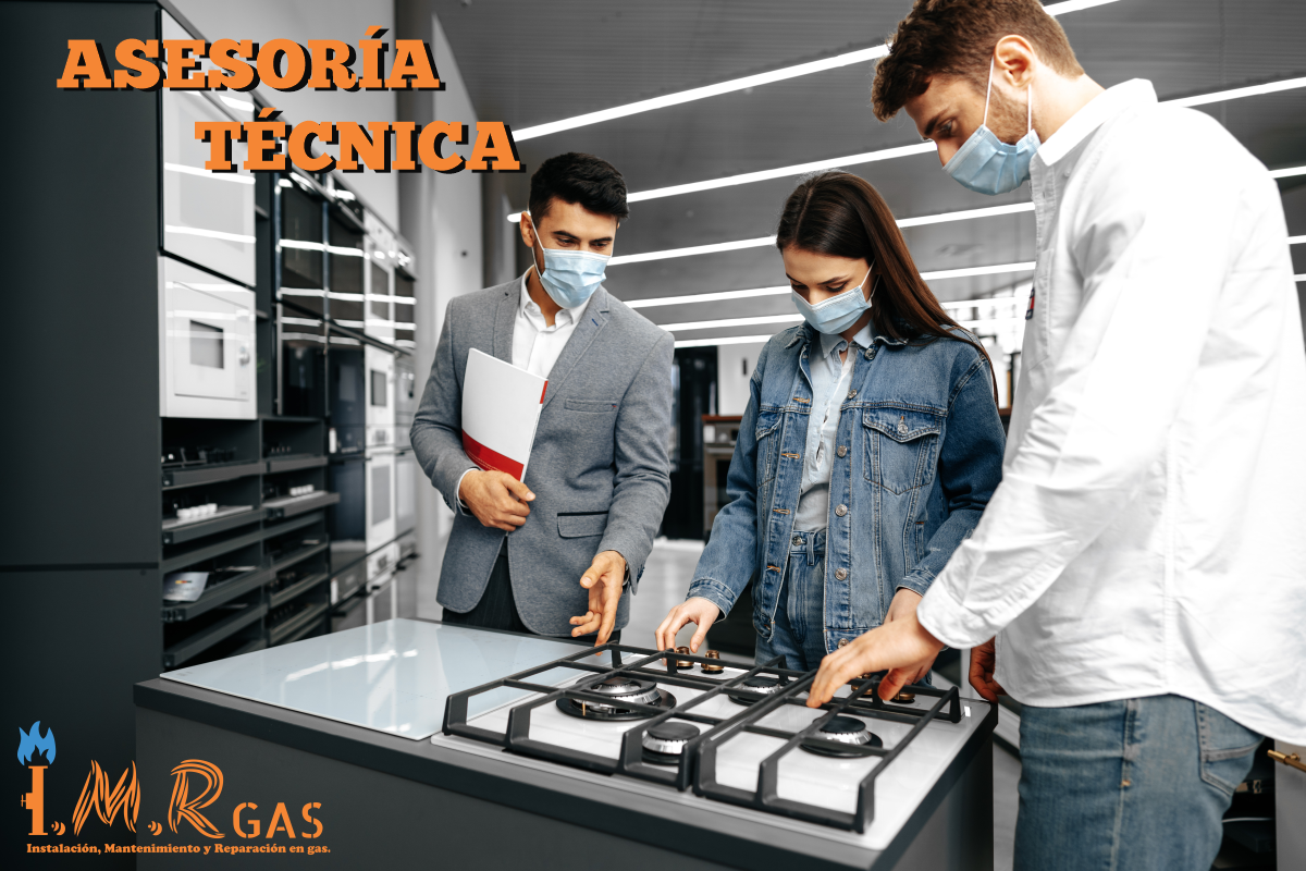 ASESORIA TECNICA IMR GAS1